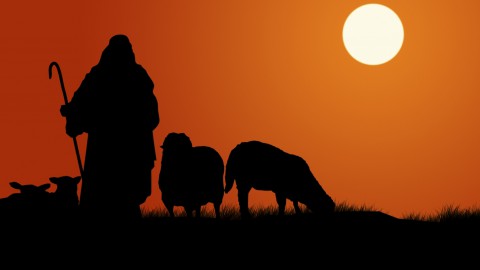 De Heer is mijn herder – deel 2